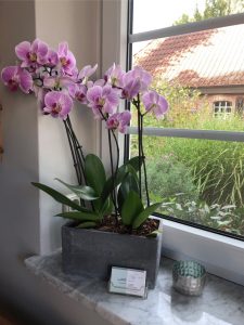 Praxis für Physiotherapie Hasenkrug Alte Schule